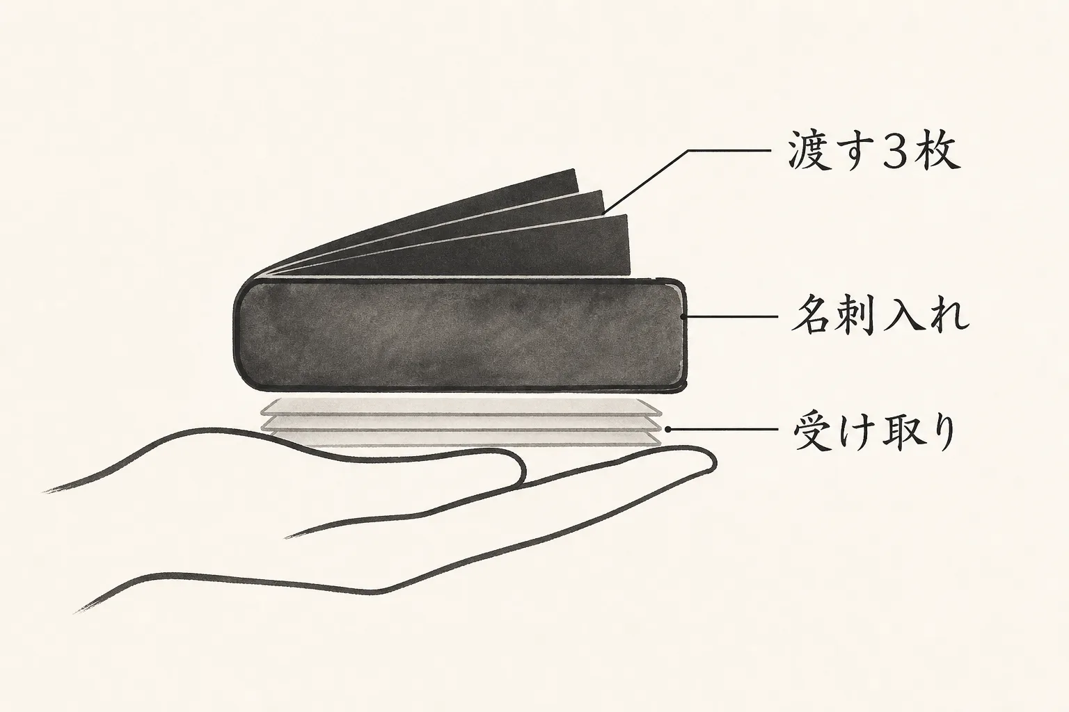 名刺入れを持つ左手の断面図。渡す分と受け取る分の置き場所